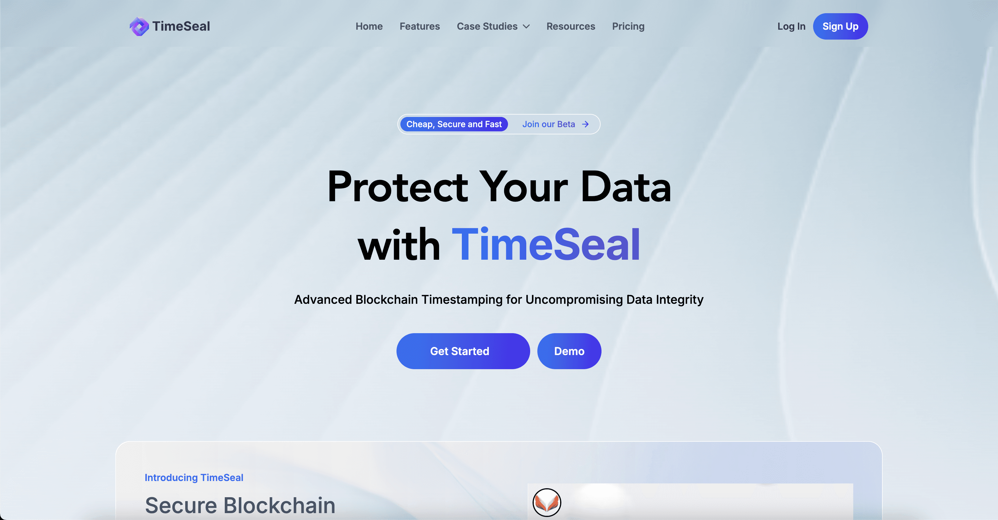 TimeSeal - Blockchain-Powered Data Integrity Platform